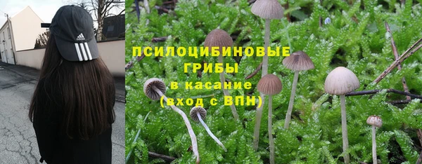 мет Абинск
