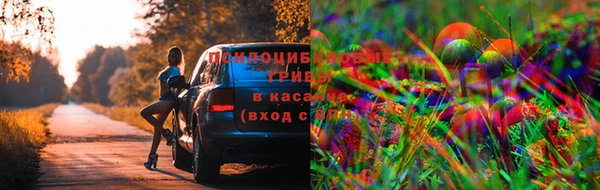дмт Абдулино