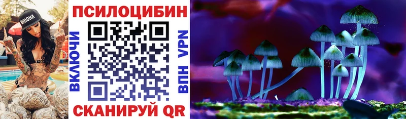 мега маркетплейс  Абакан  Псилоцибиновые грибы MAGIC MUSHROOMS 
